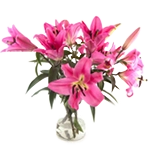 Fleurs